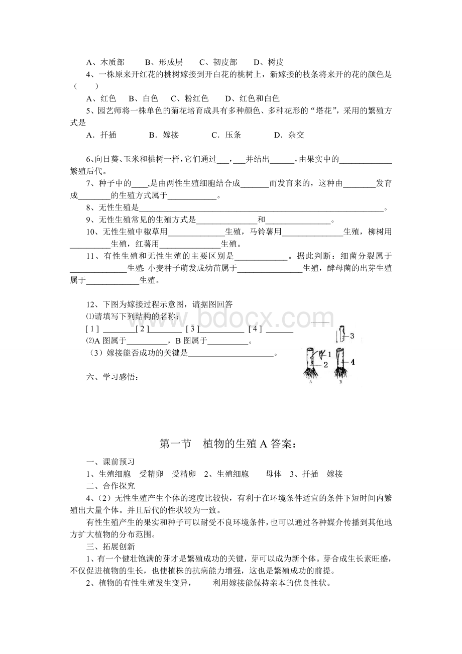 人教版初中生物八年级下册学案及课堂同步练习试题　全册A.doc_第3页