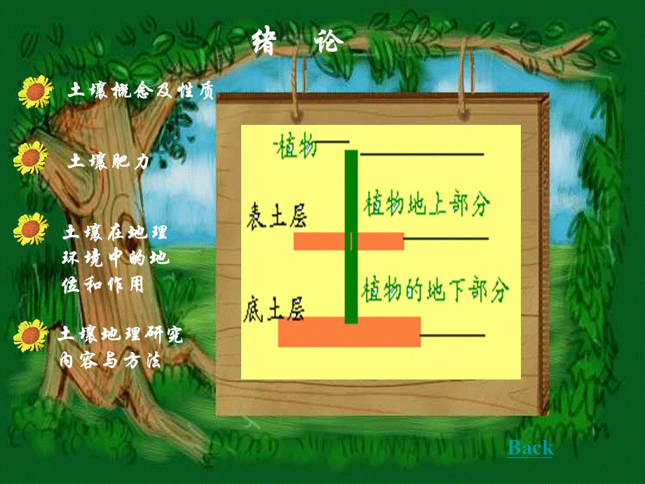 土壤地理学课件(全部).ppt_第2页