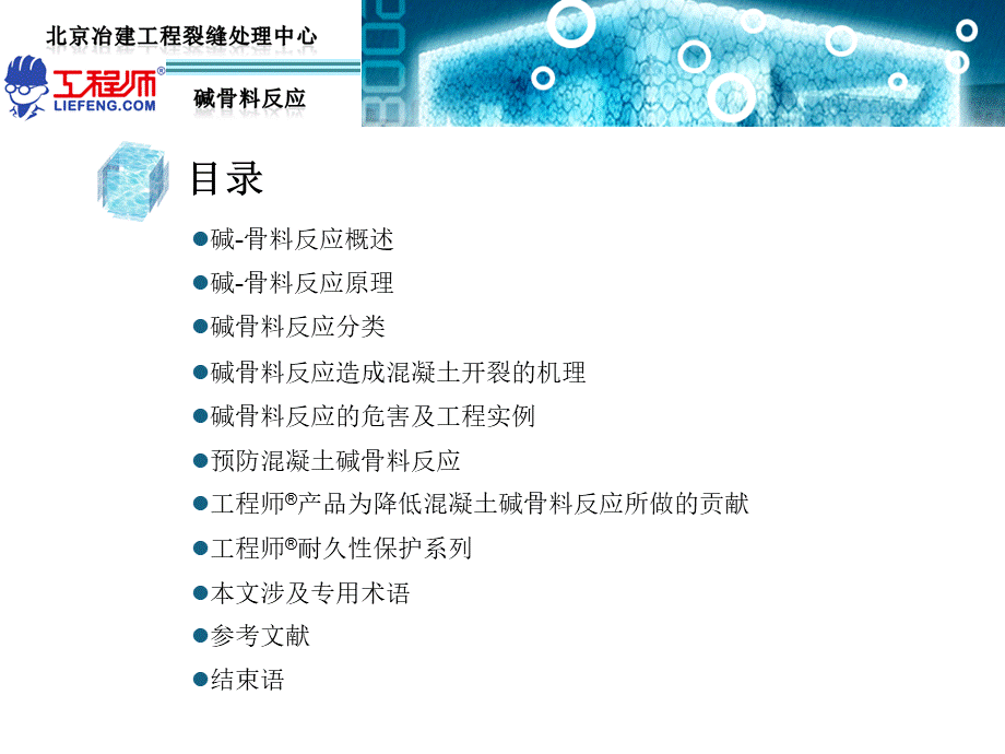 碱骨料反应PPT资料.ppt_第2页