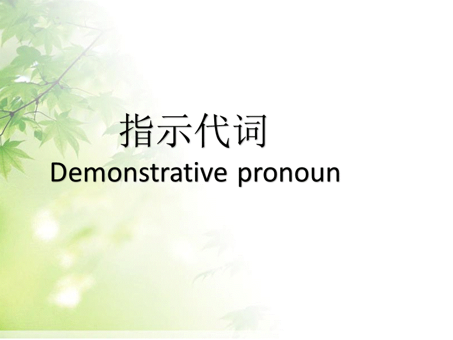 指示代词课件.pptx