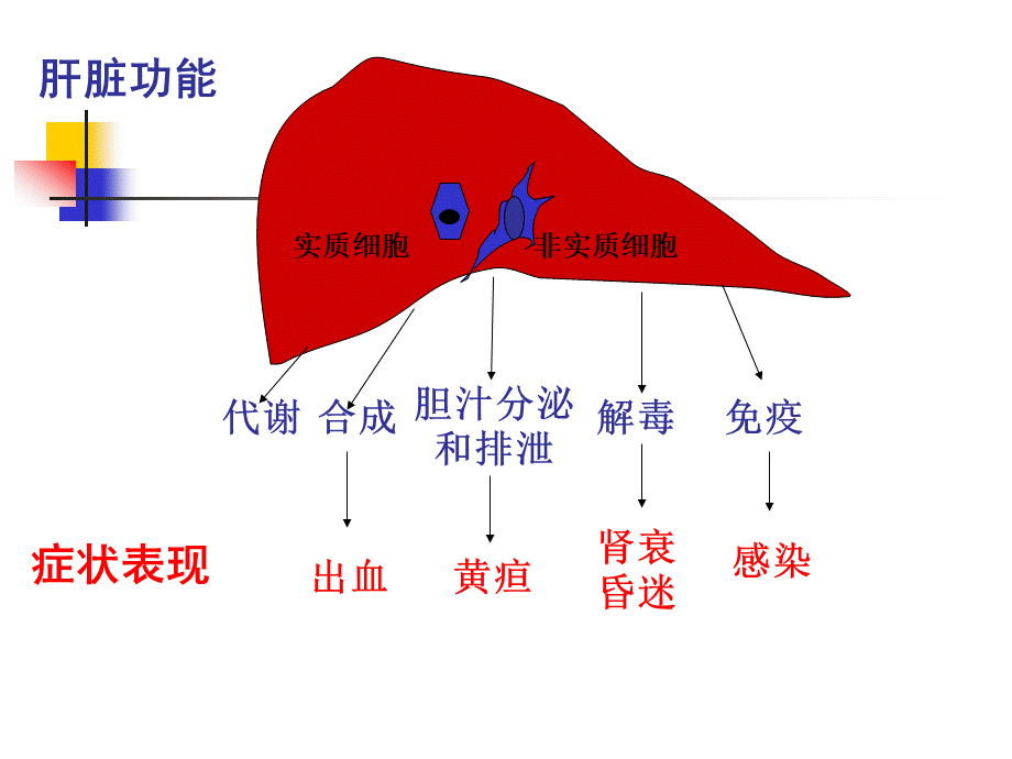 病理生理肝功能衰竭PPT文档格式.ppt_第2页