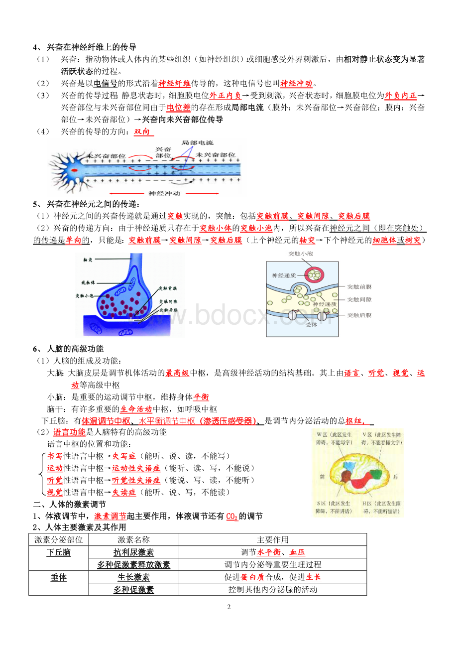 高中生物学业水平必修三知识点 (1)文档格式.doc_第2页