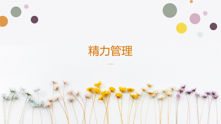 精力管理—ppt课件.pptx_第1页