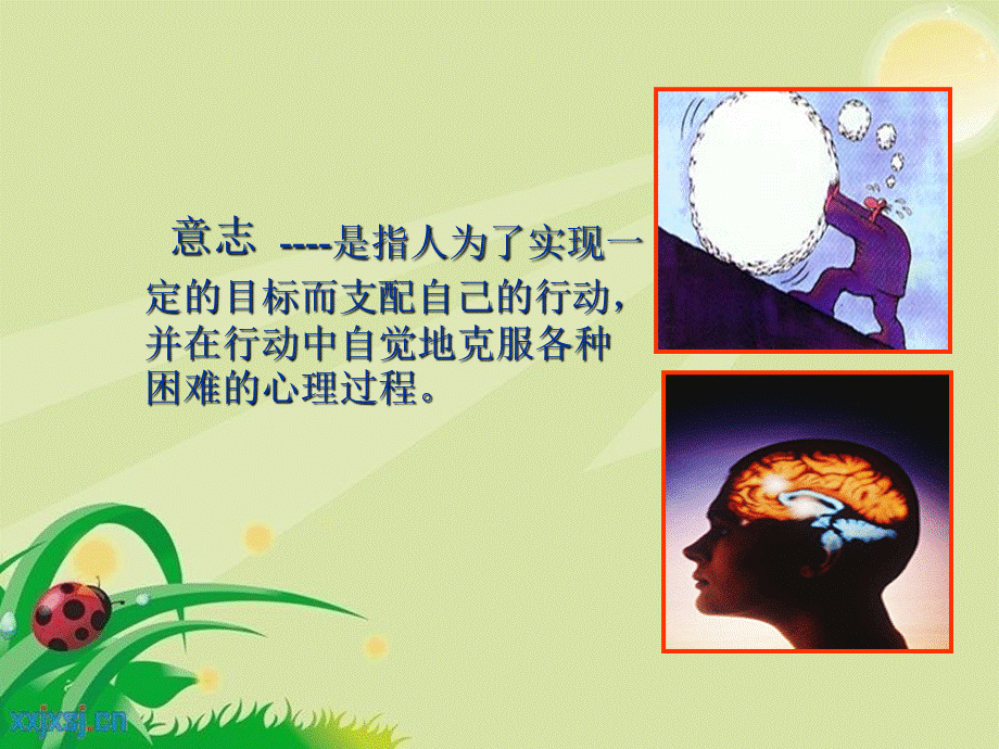 体育---培养你的意志品质.ppt_第3页