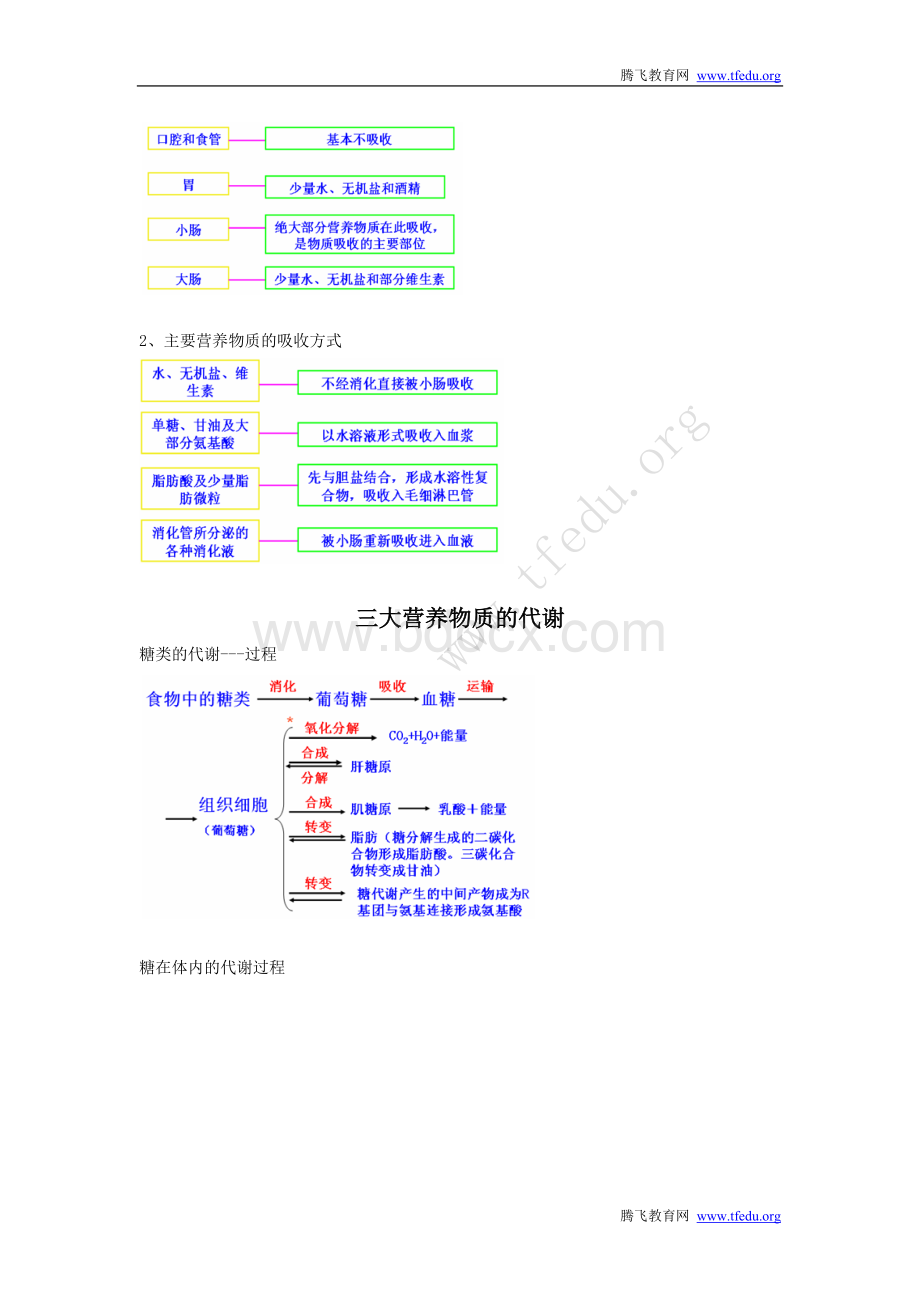 三大营养物质的消化吸收和代谢.doc_第2页