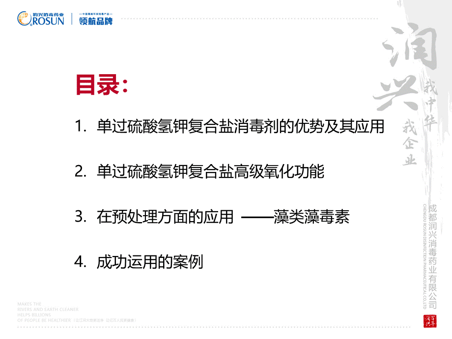 单过硫酸氢盐高级氧化技术(杭州会议-周).ppt_第2页