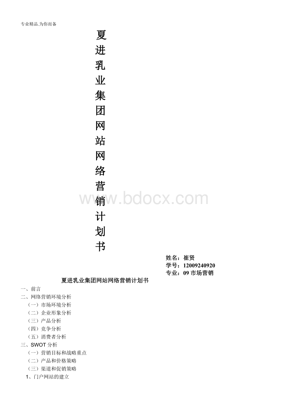 网络营销策划书.doc_第1页