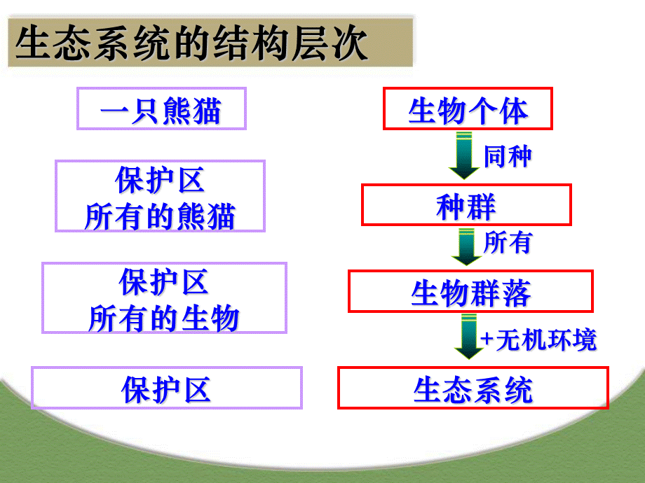 生态系统的结构——上课版PPT格式课件下载.ppt_第2页