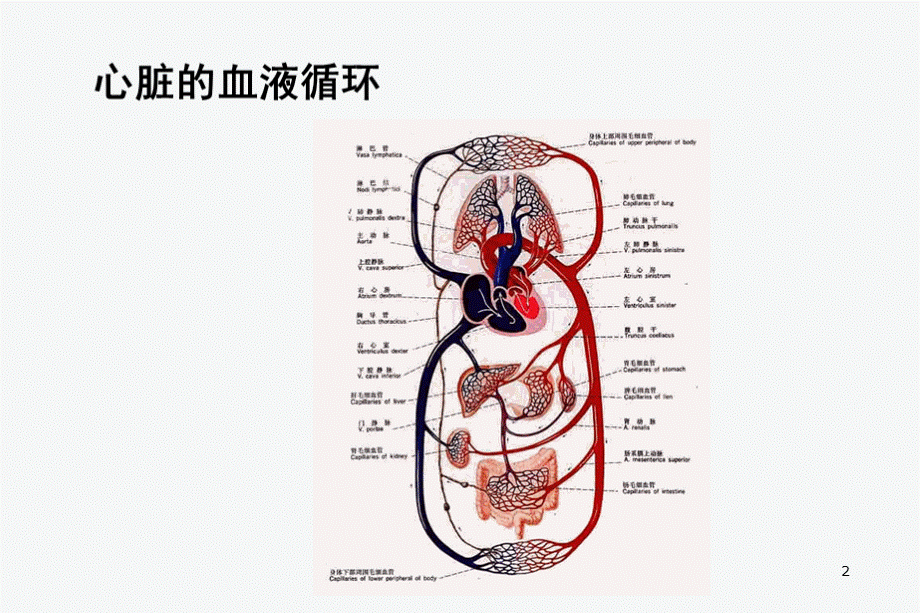 心力衰竭-PPT课件PPT资料.ppt_第2页