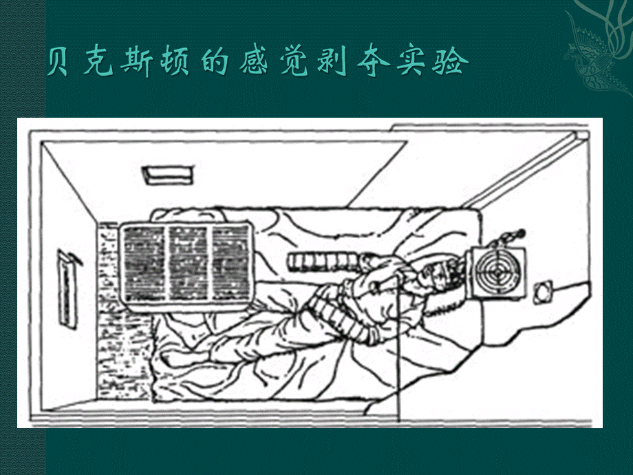 心理学感觉知觉与注意PPT格式课件下载.ppt_第3页