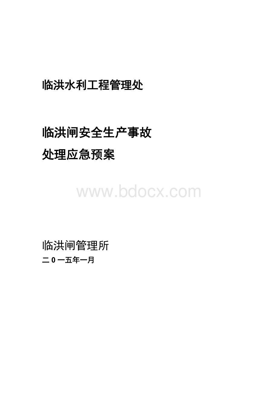 临洪闸安全生产事故处理应急预案.doc