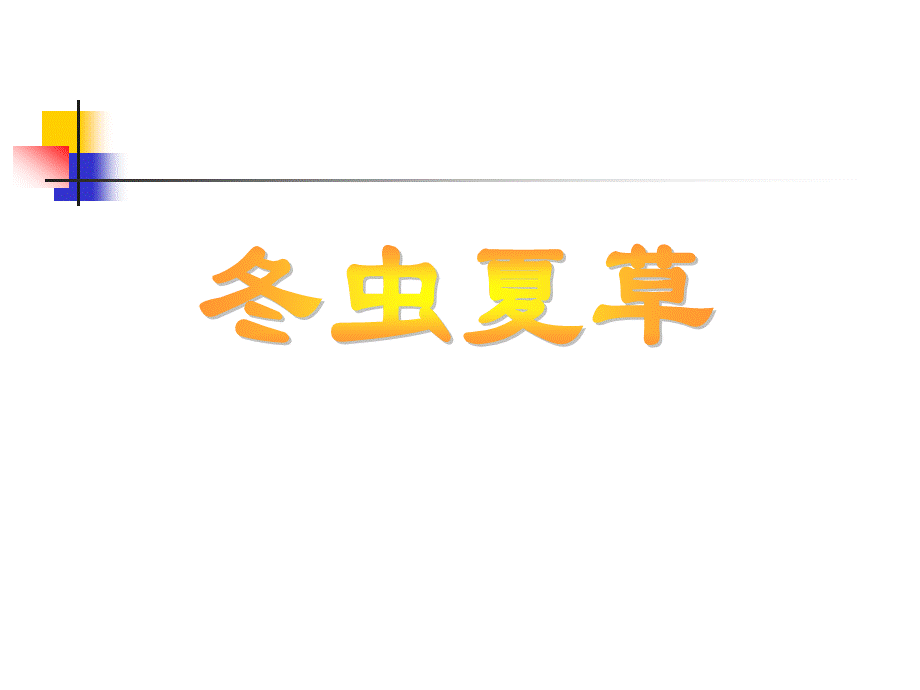 冬虫夏草PPT推荐.ppt