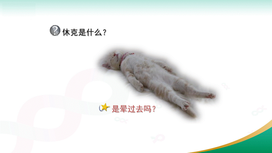 中国严重脓毒症脓毒性休克治疗指南(2019).ppt_第2页