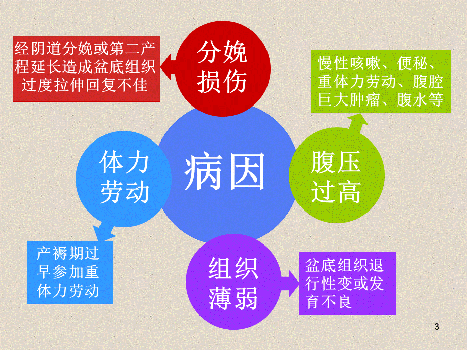 子宫脱垂病人的护理.ppt_第3页