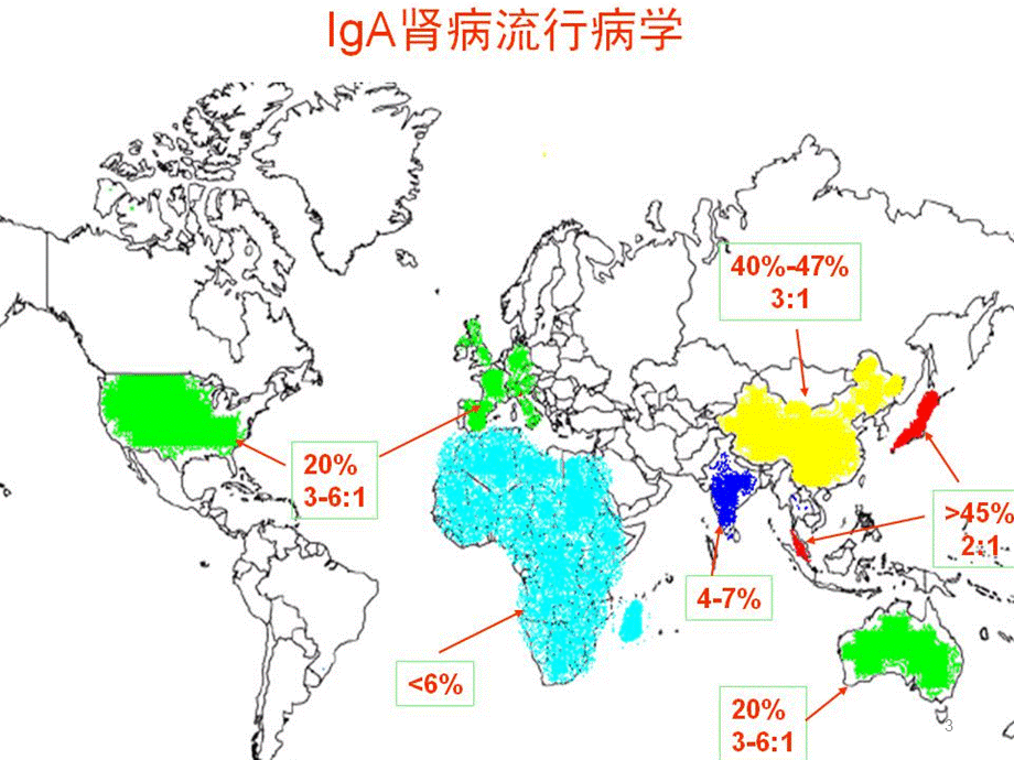 IgA肾病PPT课件PPT资料.pptx_第3页