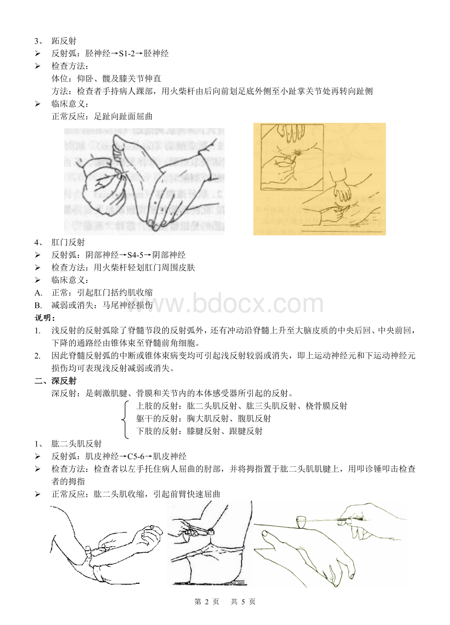 附：常见反射的检查Word文件下载.doc_第2页