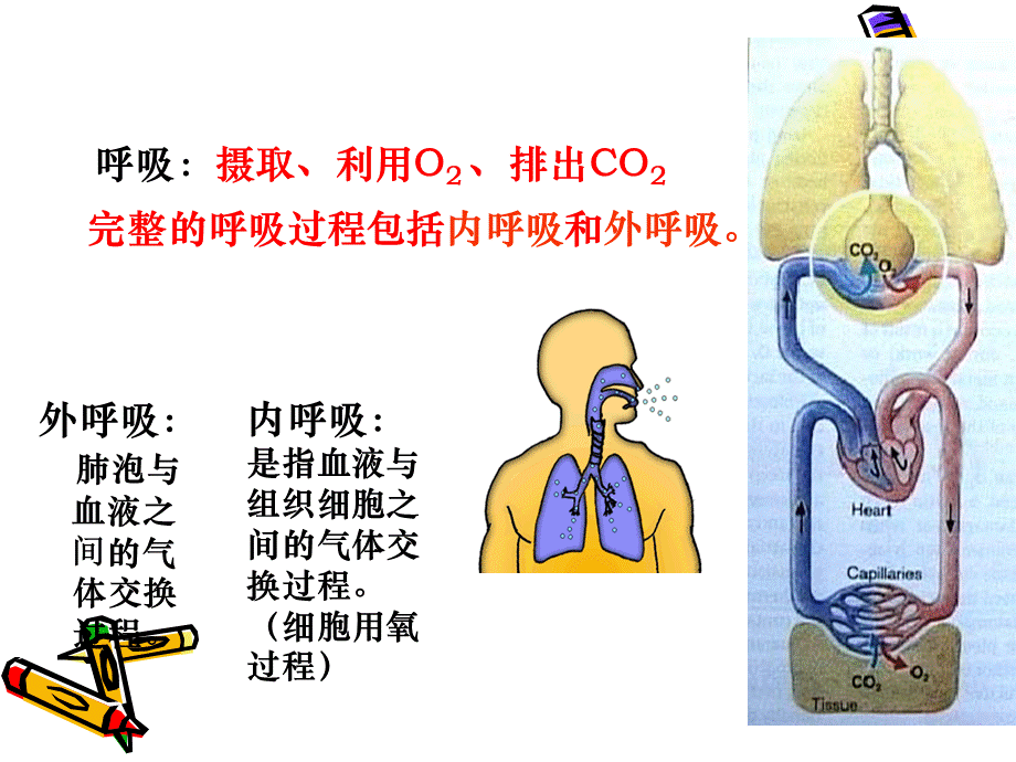 呼吸衰竭.ppt88.ppt_第2页