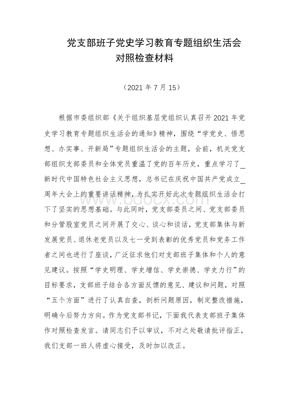 党支部班子党史学习教育专题组织生活会对照检查材料.doc