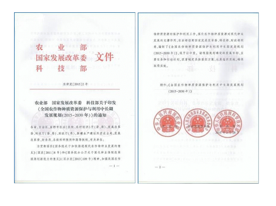 农作物种质资源保护与利用中长期发展规划2015—2030PPT推荐.pptx_第2页