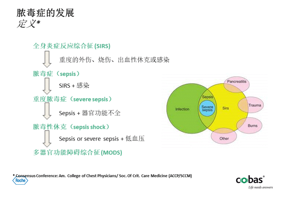 PCT-IL6_PPT课件.ppt_第3页