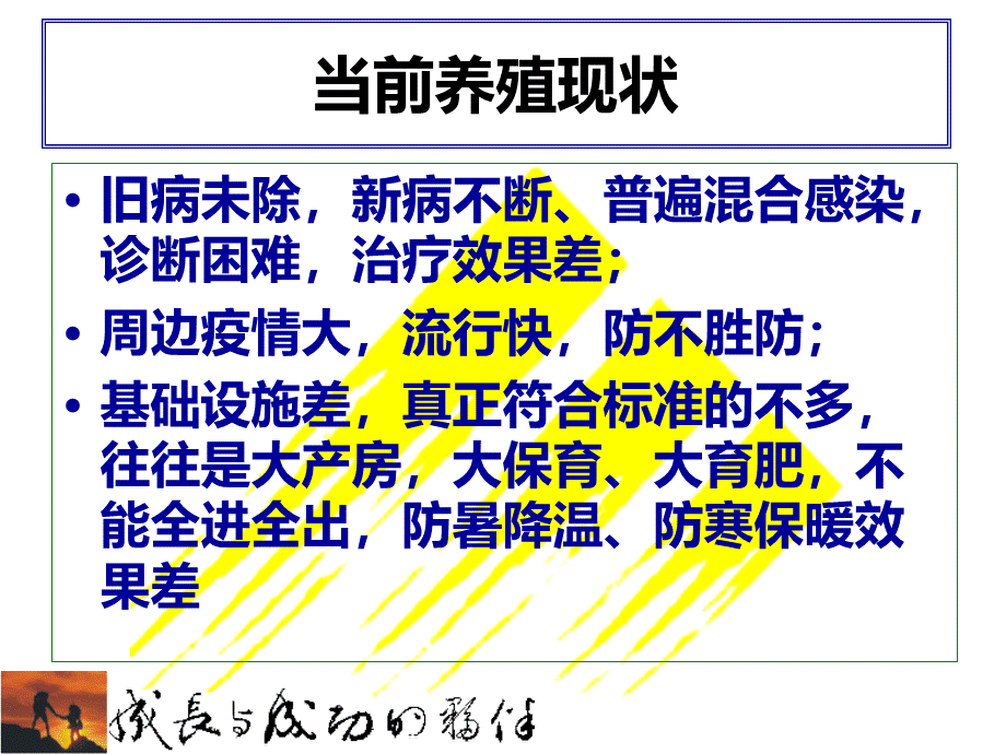 规模化猪场建议保健方案优质PPT.ppt_第2页