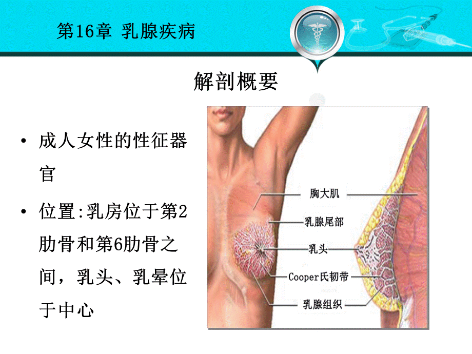 第八版外科学--乳腺疾病PPT推荐.ppt_第3页