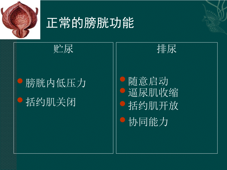 神经源性膀胱与肠道功能障碍康复PPT资料.pptx_第3页