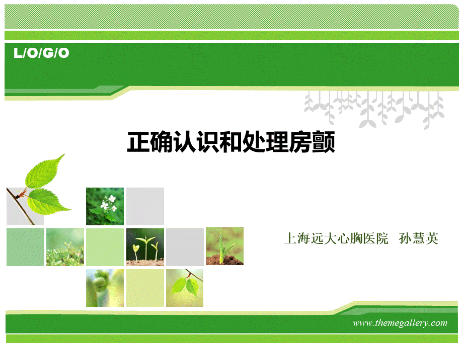 房颤PPT.ppt