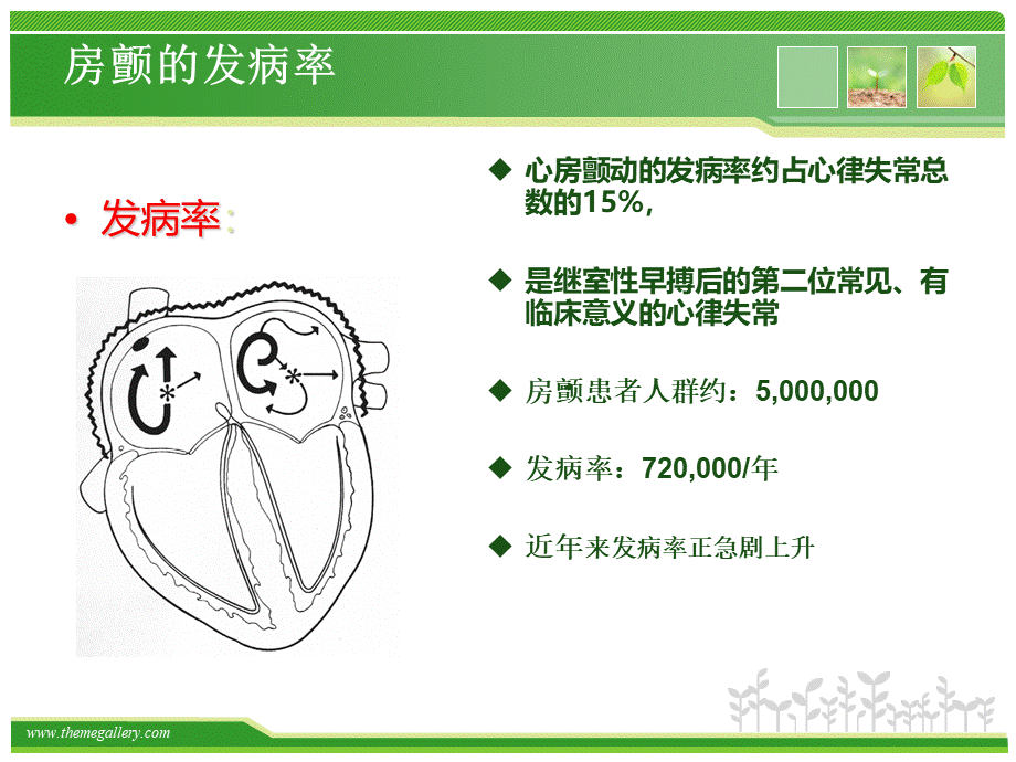 房颤PPTPPT文档格式.ppt_第3页