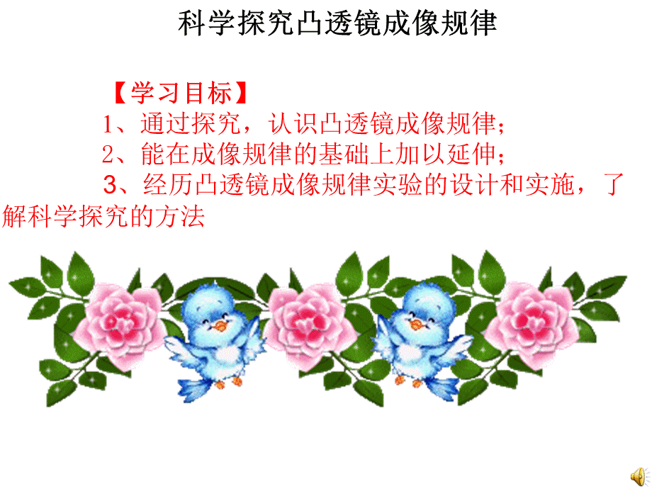 《凸透镜成像规律》ppt4复习课.ppt_第2页