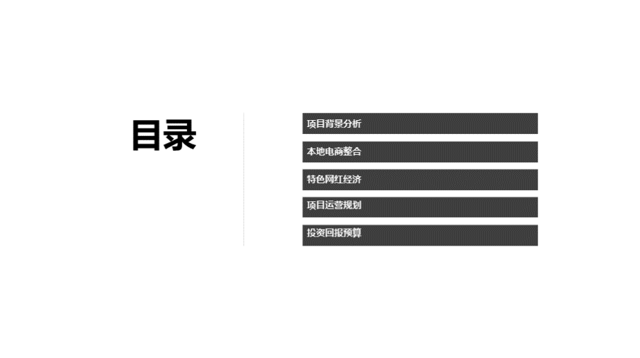 内蒙某特色产业直播基地项目计划书农特产品直播基地打造计划书网红经济电商直播基地商业计划书.pptx_第2页