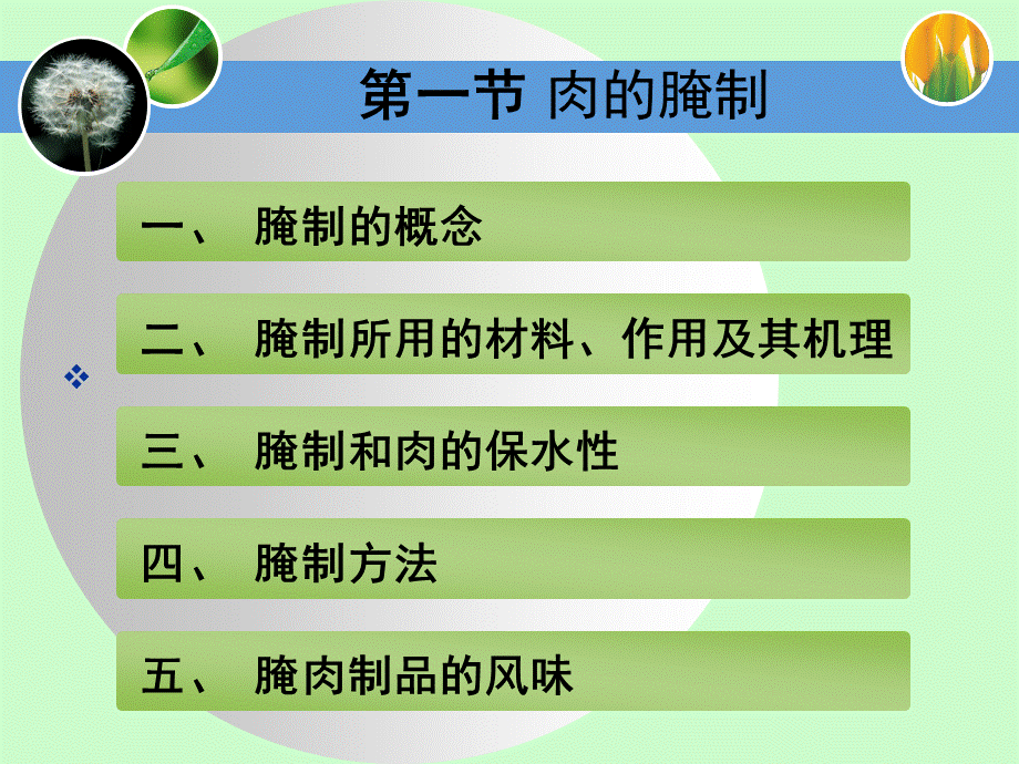 肉的腌制与熏制PPT文档格式.ppt_第3页