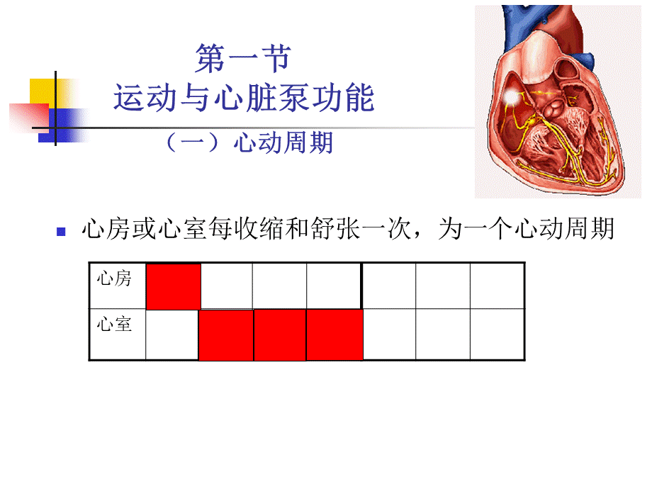 运动生理学——10-11-运动与心肺机能——心血.ppt_第3页