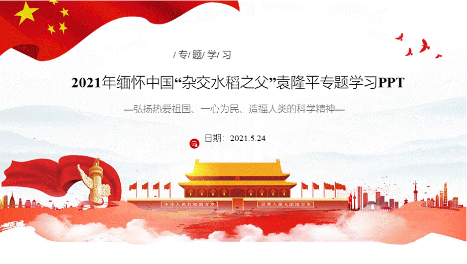 缅怀杂交水稻之父袁隆平院士专题学习人物精神PPT资料.pptx_第2页