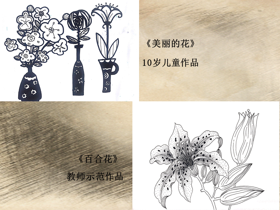 《儿童线描画基础教程》项目3植物线描写生.pptx_第3页