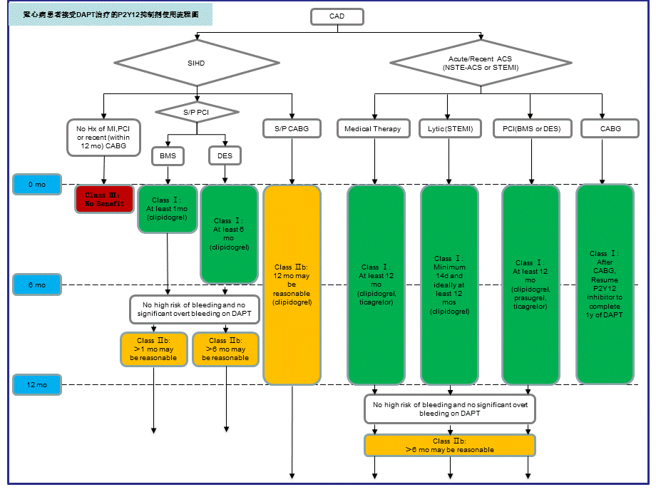 AHA双联抗血小板药物指南第一部分.ppt_第3页