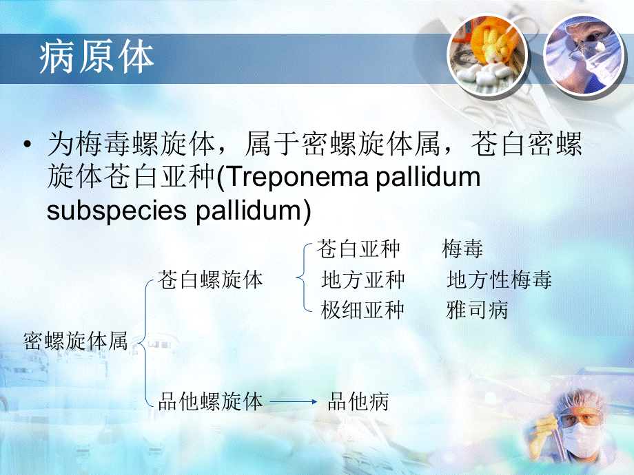 梅毒的实验室检查PPT文件格式下载.ppt_第3页