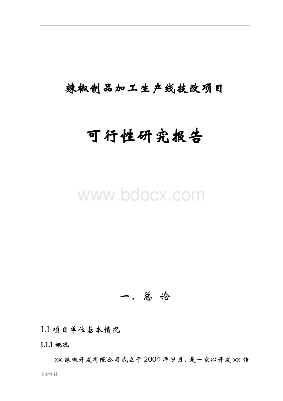 辣椒制品加工生产线技改项目可行性研究报告.doc_第1页