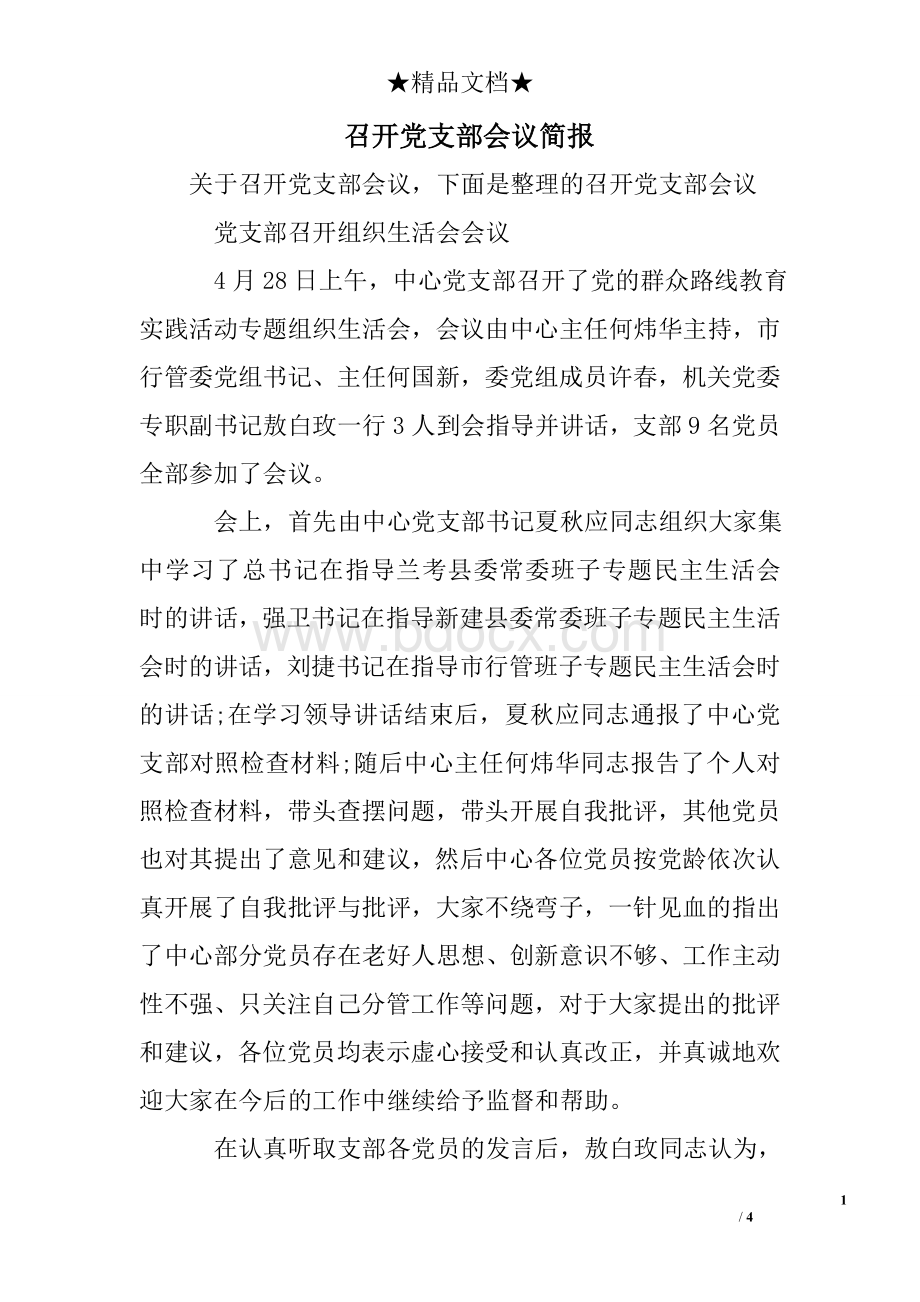 召开党支部会议简报Word格式文档下载.doc