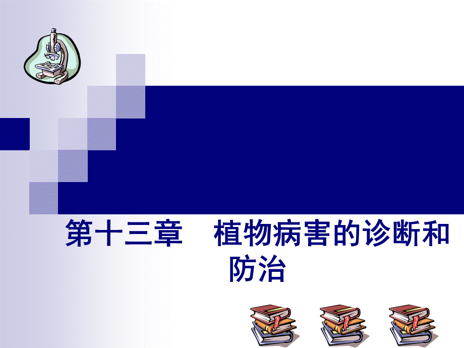 第十三章植物病害的诊断和防治文档资料PPT文件格式下载.ppt_第1页