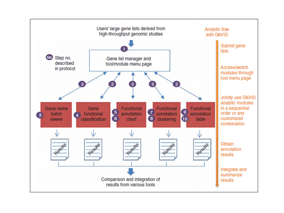 蛋白质GeneontologyKEGG分析软件David使用方法介绍课件优质PPT.ppt_第3页