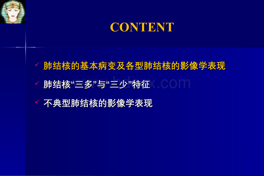 肺结核的影像学诊断优质PPT.ppt_第3页