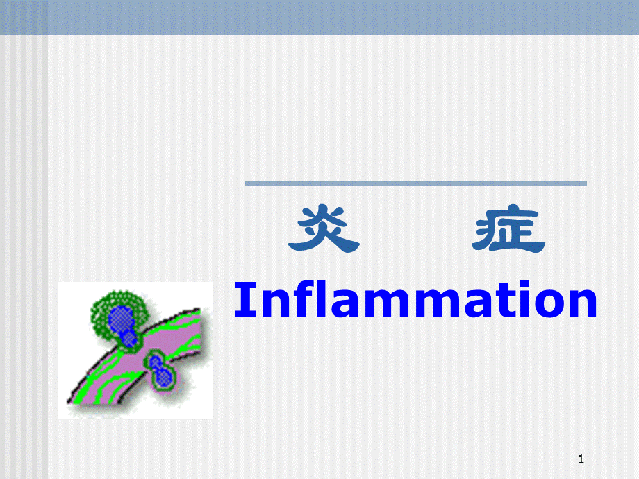 病理学炎症.ppt