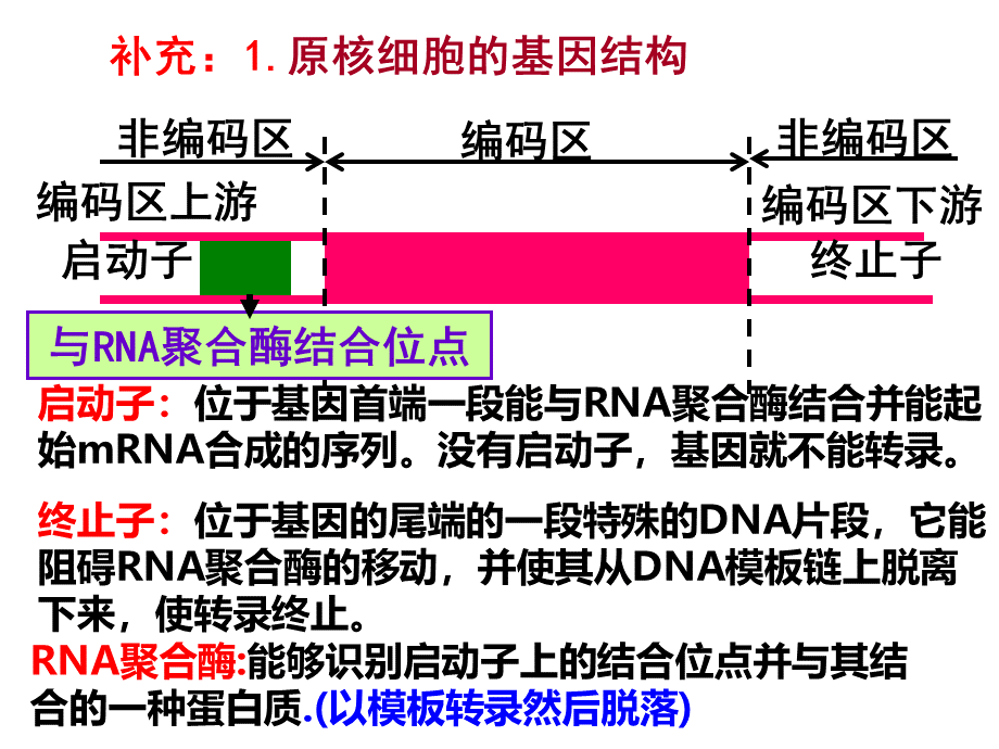 高中生物选修三--基因工程的基本操作程序优质PPT.ppt_第2页