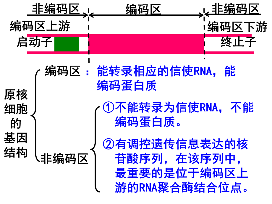 高中生物选修三--基因工程的基本操作程序优质PPT.ppt_第3页