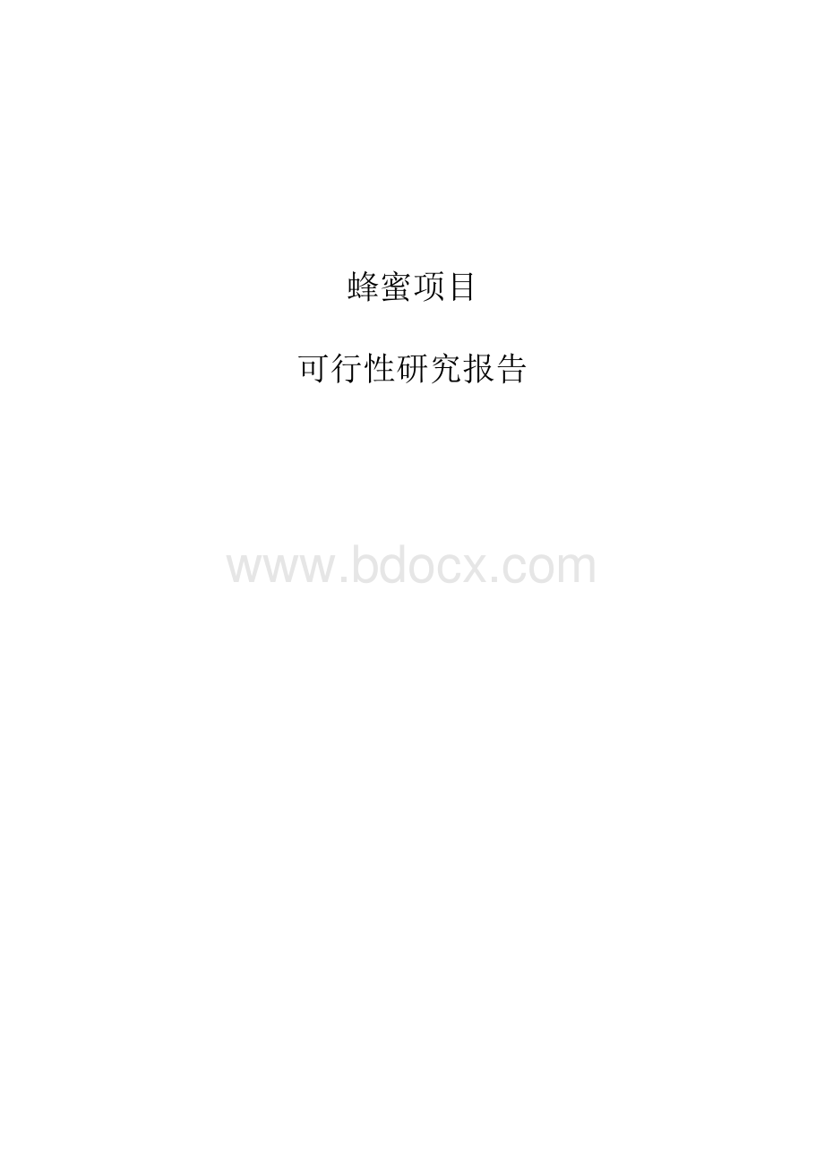 蜂蜜项目可行性研究报告文档格式.docx