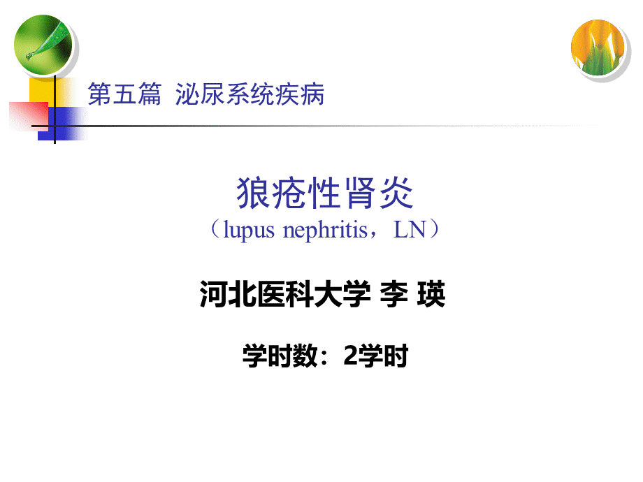 狼疮性肾炎PPT格式课件下载.ppt