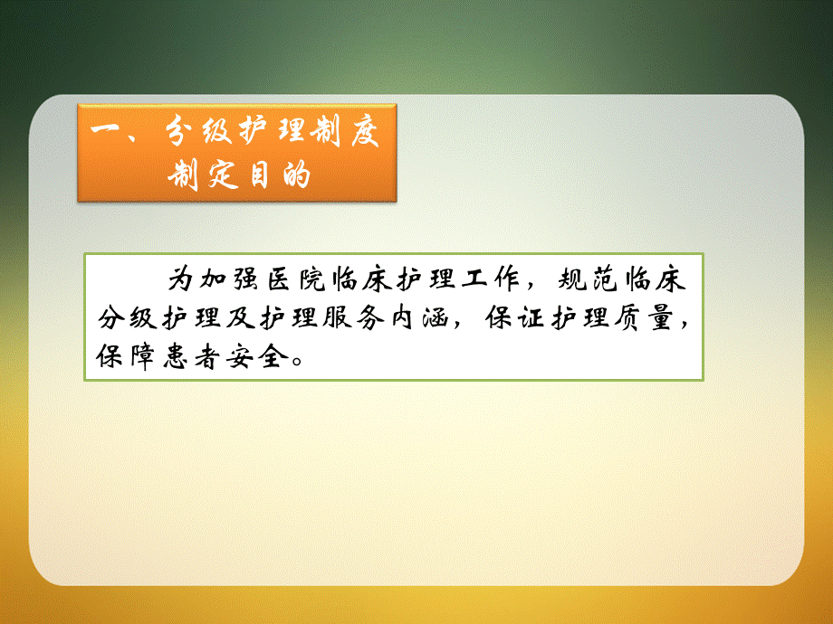 分级护理制度-PPT.pptx_第2页