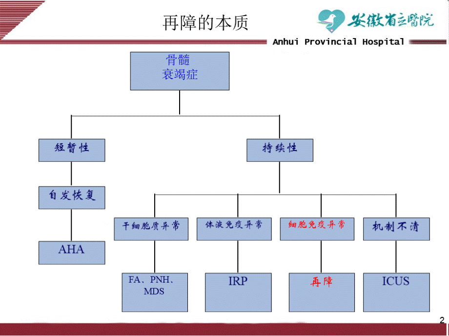 再生障碍性贫血的免疫抑制治疗PPT推荐.pptx_第2页