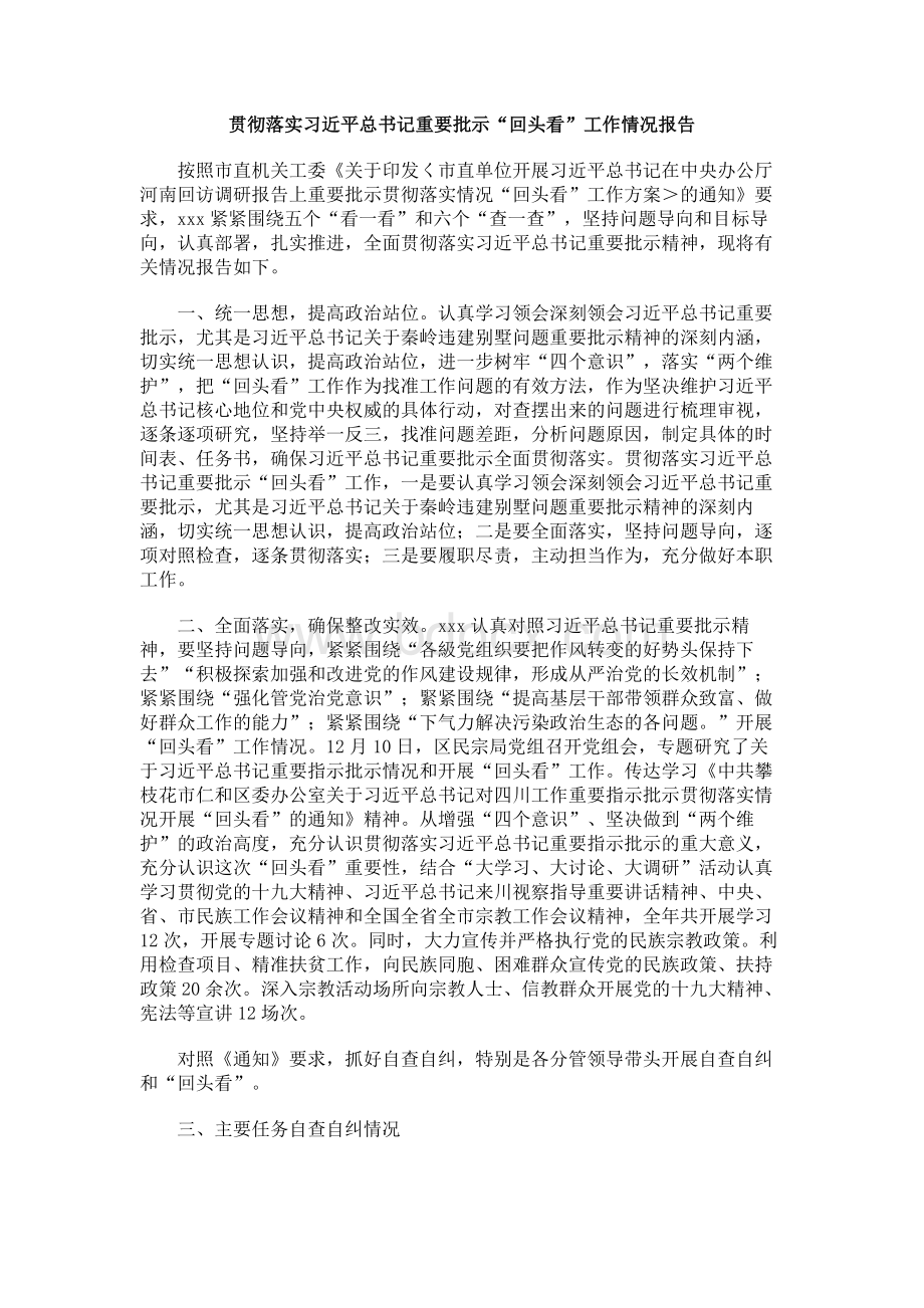 贯彻落实习近平总书记重要批示“回头看”工作情况报告.docx_第1页